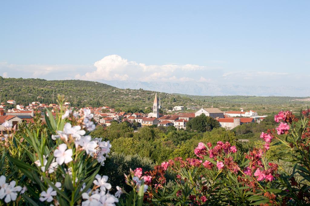 Apartments Mitrovic Stari Grad  Luaran gambar